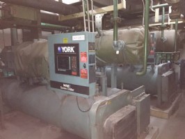 1 (966).jpg 1 (966).jpg