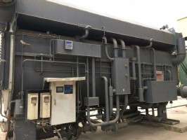 (1331).jpg (1331).jpg